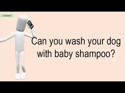 can-you-wash-your-dog-with-baby-shampoo?