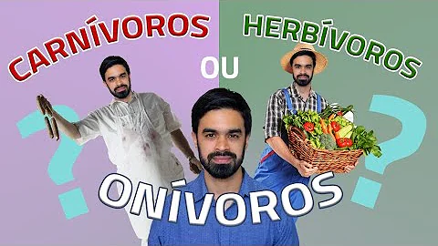 Porque o ser humano é um animal onívoro?