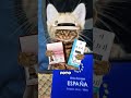 Gatos con pasaporte?