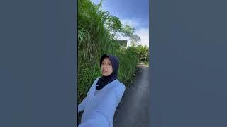 Part 4 Morning Walk near Home