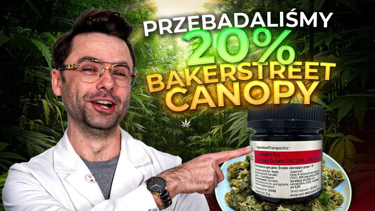 Bakerstreet 20% T#C - Analiza w Laboratorium! Co Skrywa Ta Odmiana?