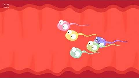 5 differences between sperm and egg