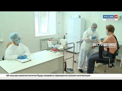 В какие сроки можно получить QR-код по антителам и где сдать анализ в Чувашии