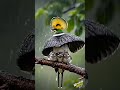 Wonderful Bird Saving Her Children 🫡