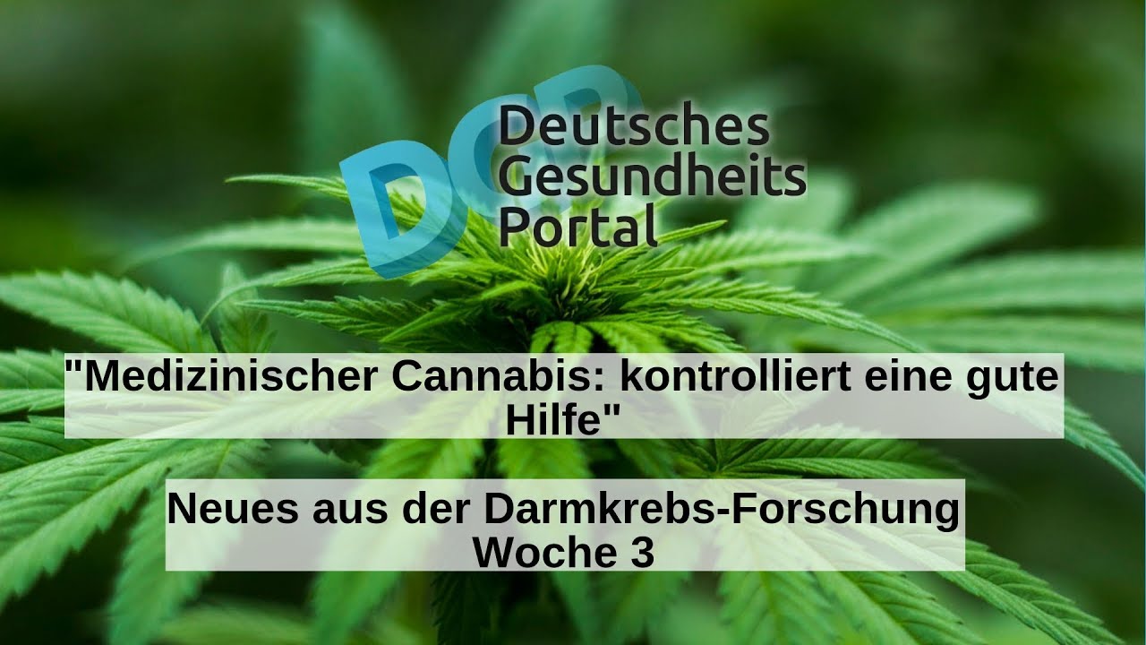 Medizinischer Cannabis: kontrolliert eine gute Hilfe - Neues aus der Darmkrebs-Forschung (KW 3)