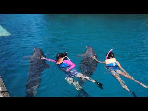 Palau 2009 Part 7 (Palau Dolphin Pacific)