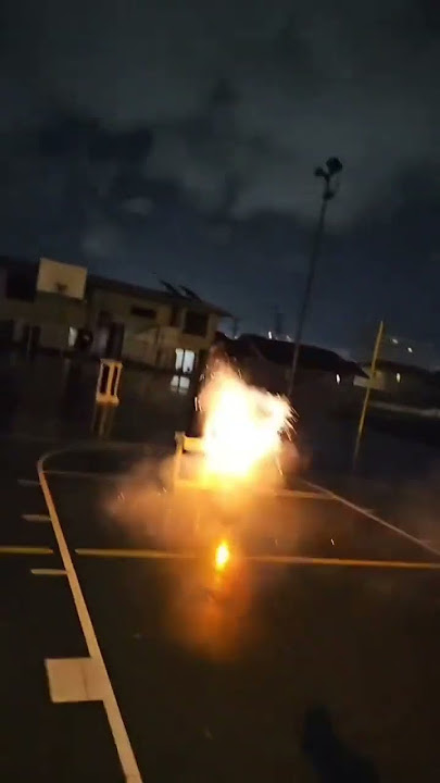 10' F&F Gold Willow to Mint to Gold Willow 1.3g Firework Display Shell