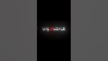 وكان الله غفورا رحيما | القرآن الكريم #تلاوة_خاشعة #quran #قرآن #القرآن_الكريم #راحة_نفسية #لايك