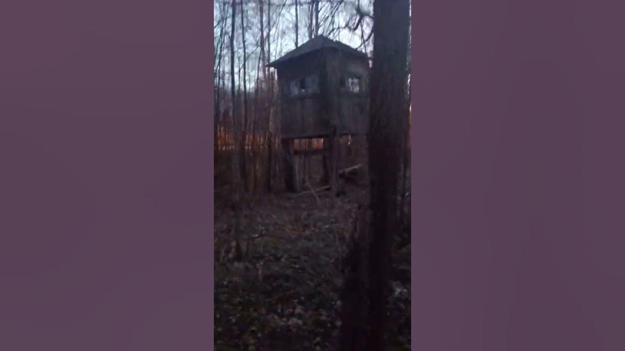 Караульная вышка в лесу. Guard tower in the forest. - YouTube