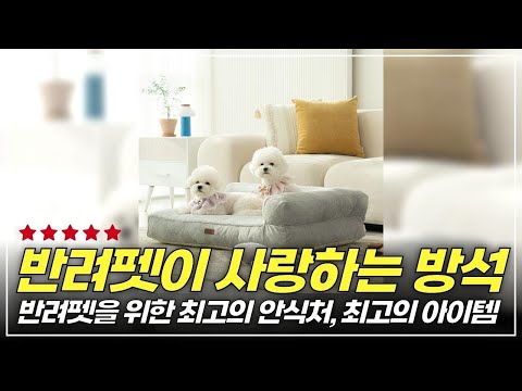 강아지가 사랑하는 최강 방석! 펫테일 은나노 쿠션 침대 솔직 리뷰 #펫쿠션, #강아지방석, #반려동물용품, #소형견방석, #펫인테리어, #펫테일