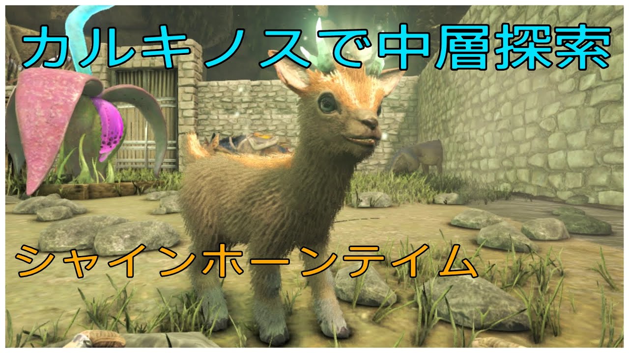 中層テイム Ark 恐竜と糞と野生児 7日目 前半