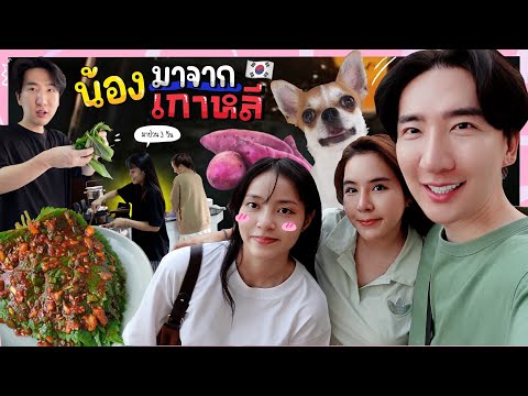 [12] Vlog น้องมาจากเกาหลี กิน นอน เที่ยว 3 วัน 2 คืน แบบฉ่ำๆ : โอปป้า เป็น อัปป้า