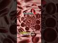 The Most Important Protein in Your Body? (Hemoglobin) 🧬 #science #biotech #biology