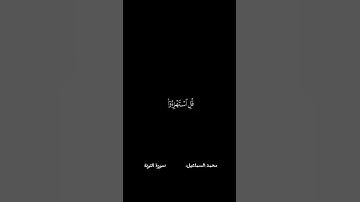 ما تيسر من سورة التوبة ✨🤍 يحذر المنافقون....