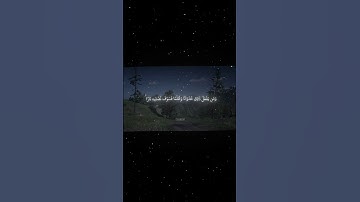 سورة النساء|29-31|القارئ:#محمد_اللحيدان #قران #quran #راحة_نفسية #قران_كريم #تلاوة #آية #تلاوة_خاشعة