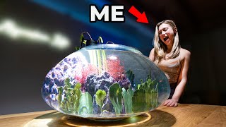 I Built a Giant Shrimp Eco-sphere