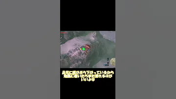 盾サーフィン コツ