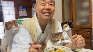 ゆるキャラの様に可愛いが住職になって40年/He may look like a loose character, but he's been a priest for 40 years.