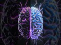 The Pineal Gland Explained in 30 Seconds 🧠✨ #neuroscience #mbbslife #medicaleducation #medicine