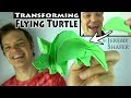 Amazing Transforming Turtle! Pull-the-Tail Flapping Tortoise!