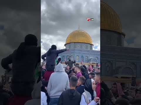 ووطن ووطن شبجديد