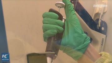 Thousands in one bottle! Explore micro-nano robots designed to detect cancer cell in N China