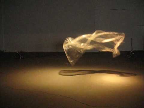 Ballet de Plastique | Daniel Wurtzel