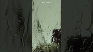 Abi Çok Zoruma Gidiyor Ya