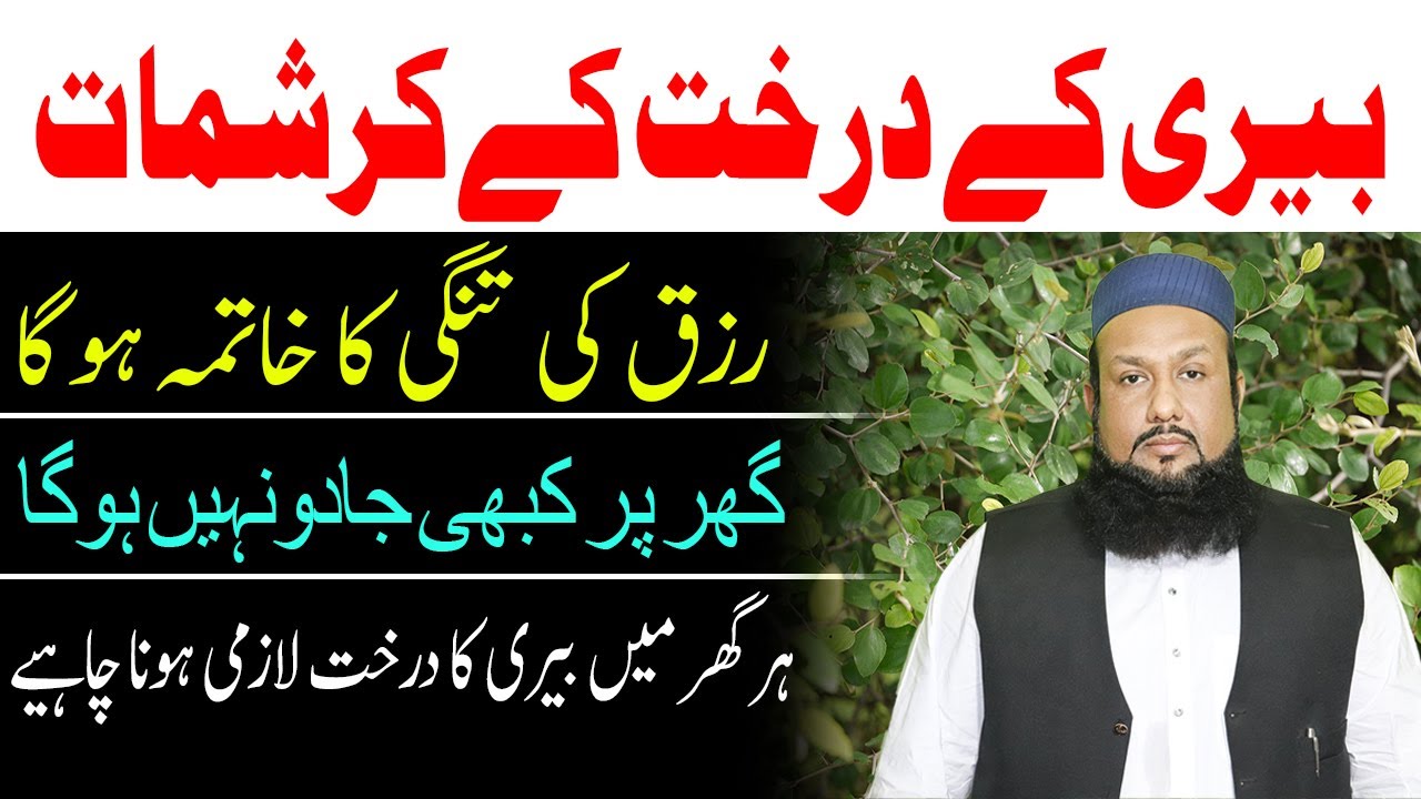 Bairi Ke Darakht Ke Fayde | The Benefits Of The Berry Tree | Shocking Revelations of the Lote Tree!