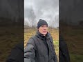 Продается земельный участок ИЖС красное село -12 соток #спб #бизнес #инвестиции