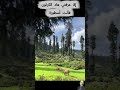إلا عرفتي هاد الكرتون فأنت أسطورة 