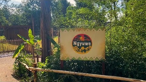 Een tour door expeditiegebied Ngyuwe