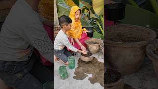 Dhaniya Patta Ka Paudhe Lagaye Hamne