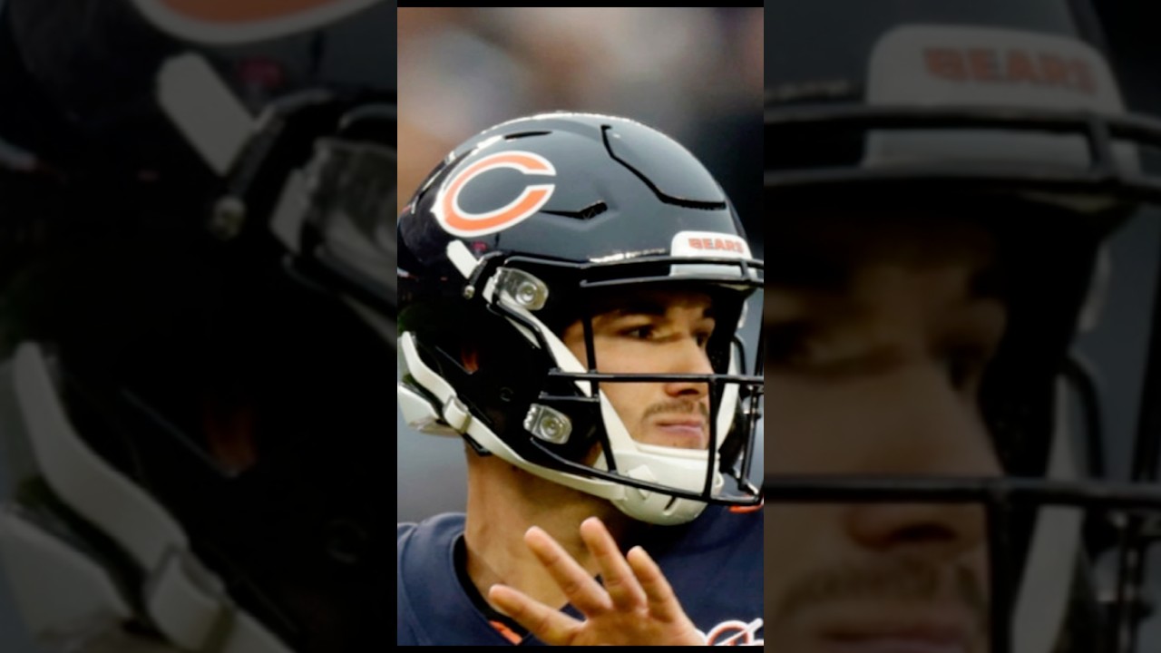 From Leather to an Icon: A History of the Bears Helmet - Educationmagz.blog