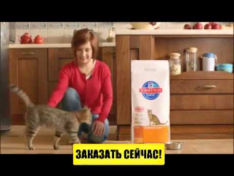 Полезный и питательные корм для кошек Hills