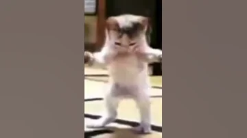 انا حبيب البابا 