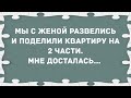 Мы с женой развелись и поделили квартиру.. Сборник Свежих Анекдотов! Юмор!