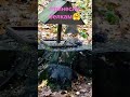 просто гуляю🤗🤗🤗