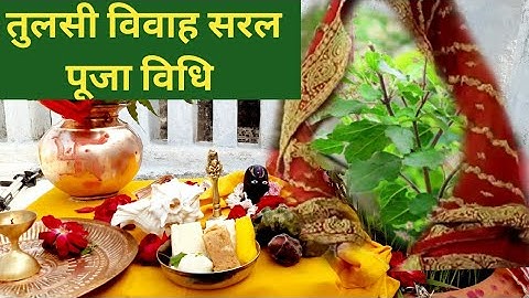 Tulsi Vivah Puja Vidhi  || तुलसी विवाह कैसे करे || Easy Tulsi vivah 2023