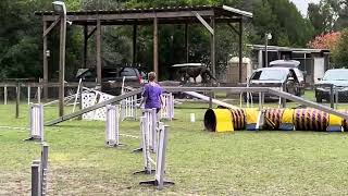 Torque 16-03150 - Longmire reg agility 1 - round 1 11/26/23
