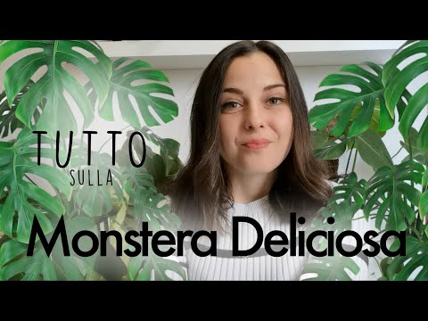 Video: Monstera, I Segreti Per Crescere