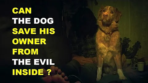 He Thought His Dog Was Normal Until the Haunting Began | Good Boy (2025) Ending Explained