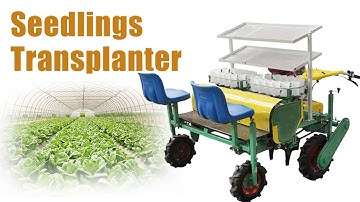 Automated 2-Row Transplanter in Action: Onion Seedling Planting! Vegetable Transplanter for Sale