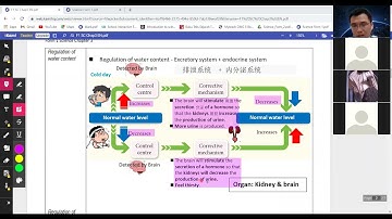 F1 Science Chapter 3.1 Homeostasis of human (pg72-76)