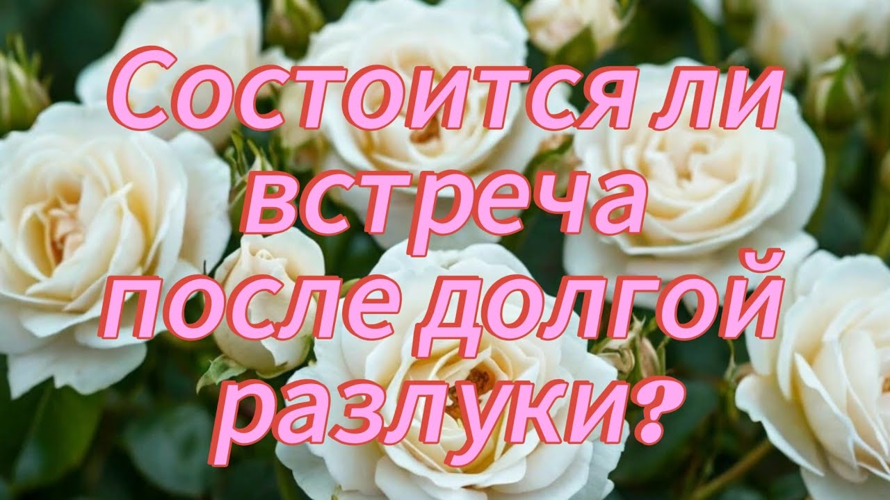 Встреча После Долгой Разлуки Секс