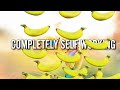 BANANAS! by Apprentice Magic