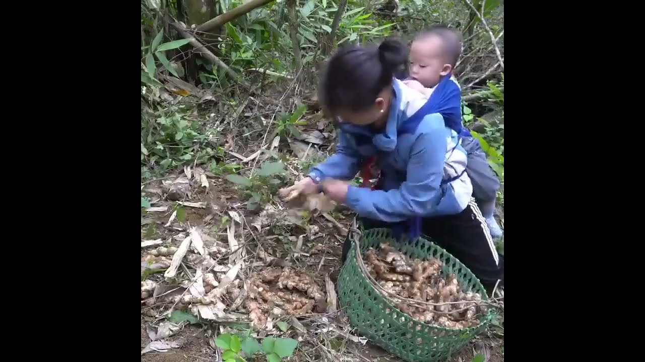 Full video single mother Pick up bottles and scraps go sell, and suddenly found money