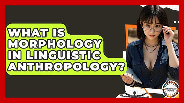 What Is Morphology In Linguistic Anthropology? - Anthropology Insights