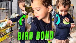 Loving Child Interacts with Pet Lovebirds