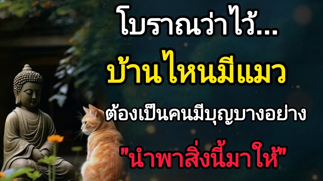 ไม่ใช่ใครก็เลี้ยงแมวได้! ต้องมีสิ่งนี้เท่านั้นแมวถึงอยู่ด้วย✨️#ธรรมะในใจ 